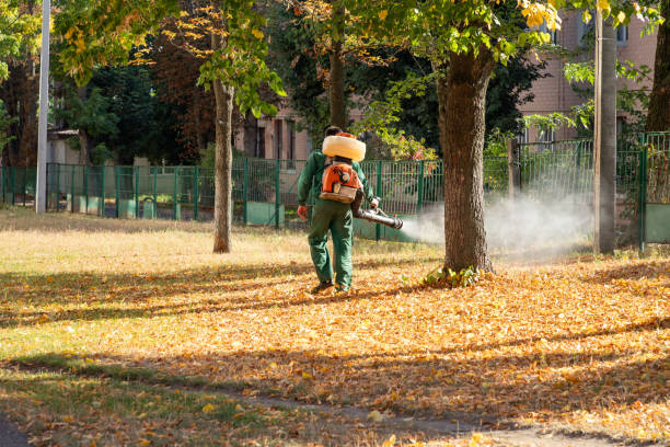 Pest Control for Restaurants in Hatboro, PA